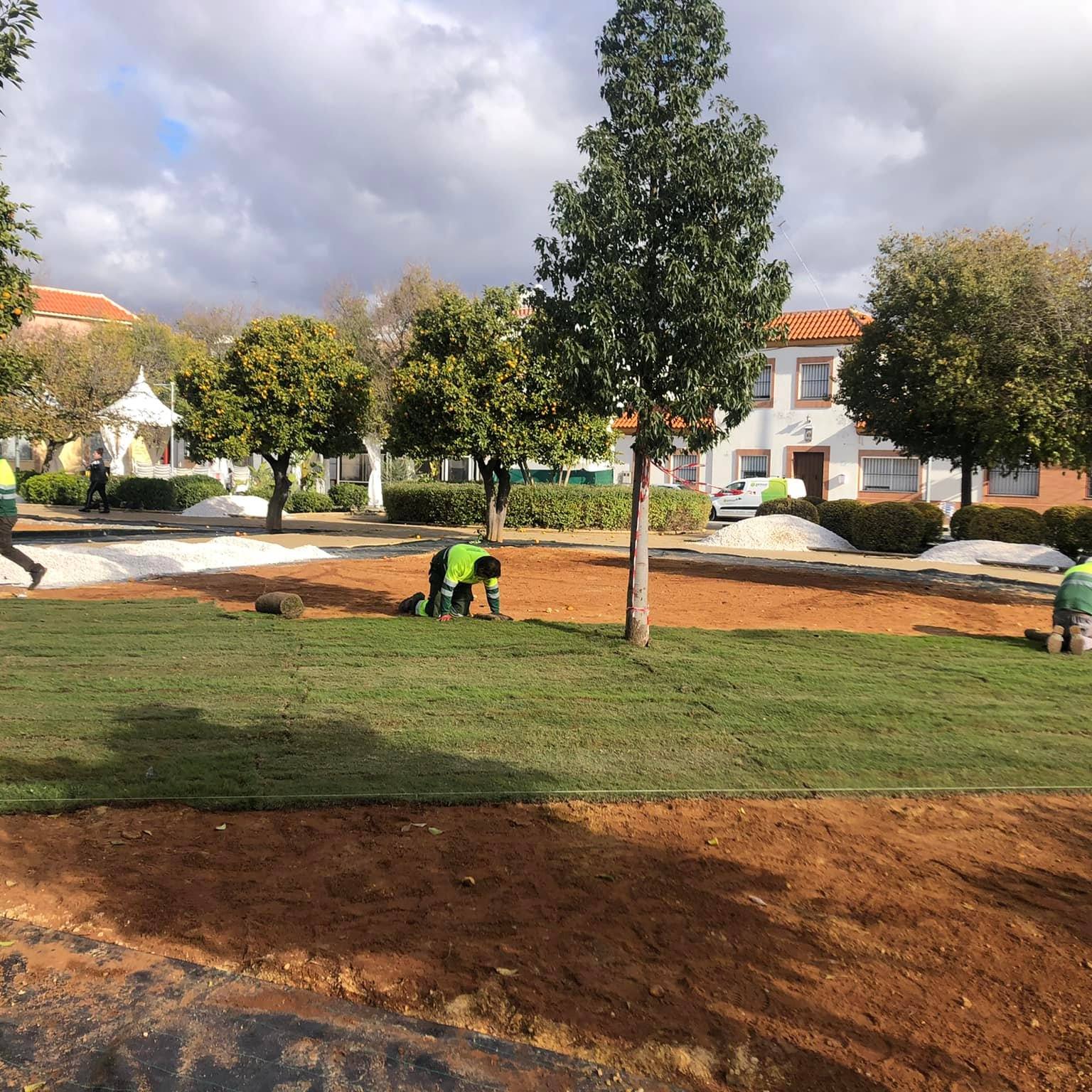 263337710 3127705577454175 4630465283633739625 n